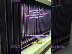 जिन्लिडाः मजबूत नदी किनारों के लिए चीन की गैबियन मशीनें